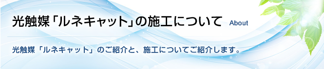 光触媒「ルネキャット」の施工について