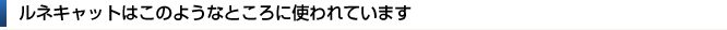 ルネキャットはこのようなところで