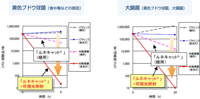 抗菌性能　グラフ